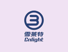 雪萊特(002076)產(chǎn)業(yè)并購基